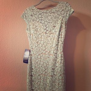 New Turquoise Lace Bebe Dress